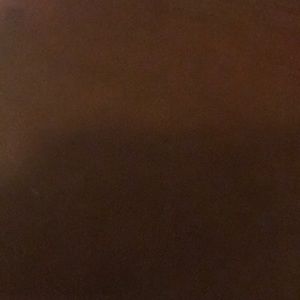 Meet your Posher, Reagan